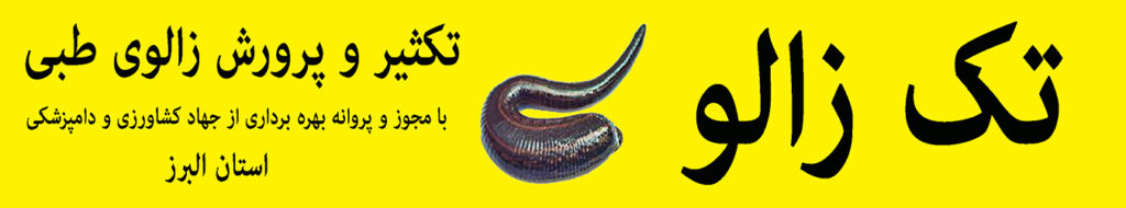 زالو درمانی