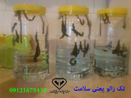 مرکز صنعت زالوی طبی با مجوز تولید از سازمان دامپزشکی