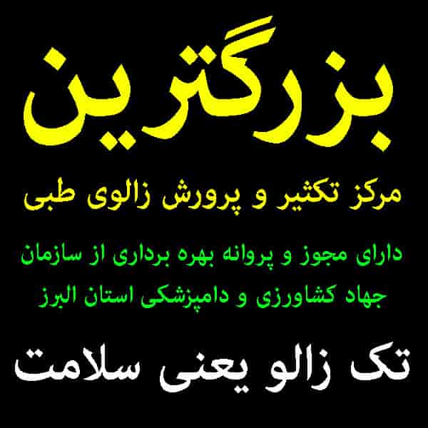 خرید زالوی طبی در کرج