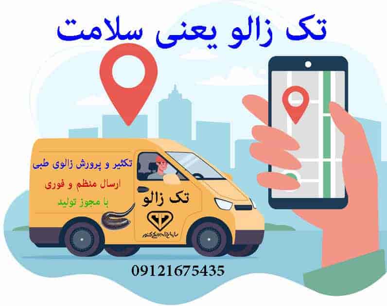 فروش زالو در کرج