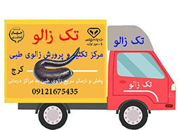 پخش زالوی طبی بهداشتی در استان البرز کرج