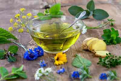 گیاه درمانی