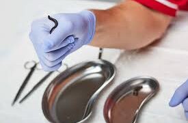 تأکید شده است که زالو درمانی باید همیشه تحت نظارت یک پزشک متخصص یا متخصص طب سنتی انجام شود و هر زالو فقط باید یک بار استفاده گردد.