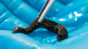 چگونه می‌توان از سلامت زالوی پزشکی مطمئن شد؟